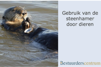 Scherm­afbeelding 2025-08-07 om 16.35.07.png